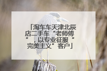 淘车车天津北辰店二手车“老师傅”，以专业征服“完美主义”客户