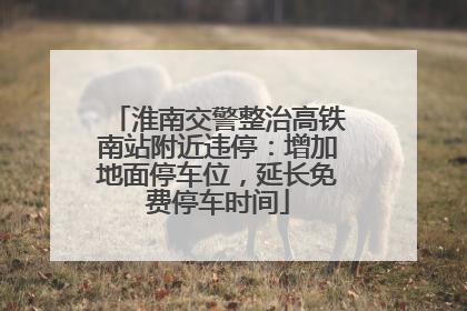 淮南交警整治高铁南站附近违停：增加地面停车位，延长免费停车时间