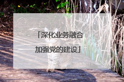 深化业务融合 加强党的建设