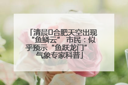 清晨﻿合肥天空出现“鱼鳞云” 市民：似乎预示“鱼跃龙门” 气象专家科普