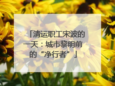 清运职工宋波的一天：城市黎明前的“净行者”