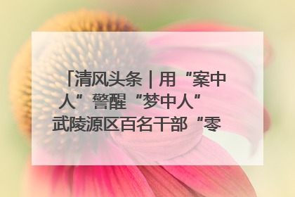 清风头条｜用“案中人”警醒“梦中人” 武陵源区百名干部“零距离”接受警示教育