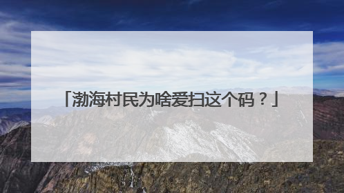 渤海村民为啥爱扫这个码？