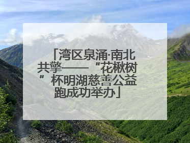 湾区泉涌·南北共擎——“花楸树”杯明湖慈善公益跑成功举办