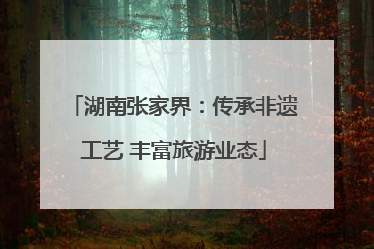 湖南张家界：传承非遗工艺 丰富旅游业态