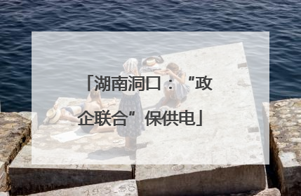 湖南洞口：“政企联合”保供电