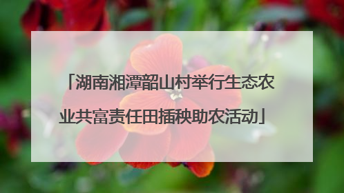 湖南湘潭韶山村举行生态农业共富责任田插秧助农活动