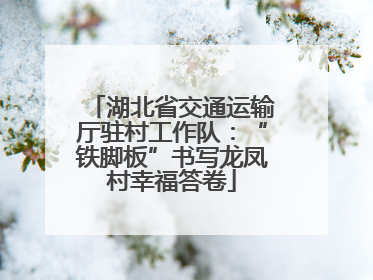 湖北省交通运输厅驻村工作队：“铁脚板”书写龙凤村幸福答卷