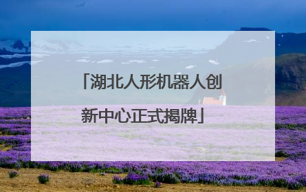 湖北人形机器人创新中心正式揭牌