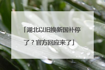 湖北以旧换新国补停了？官方回应来了