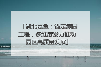 湖北嘉鱼：锚定满园工程，多维度发力推动园区高质量发展