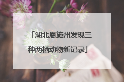 湖北恩施州发现三种两栖动物新记录