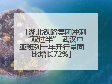 湖北铁路集团冲刺“双过半” 武汉中亚班列一年开行量同比增长72%