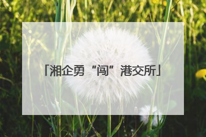 湘企勇“闯”港交所