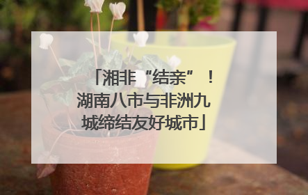 湘非“结亲”！湖南八市与非洲九城缔结友好城市