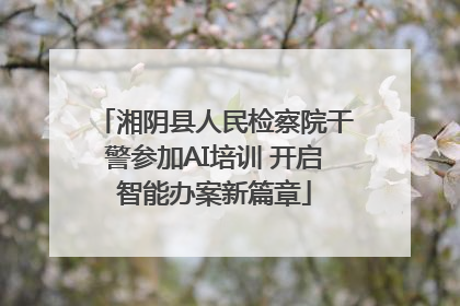 湘阴县人民检察院干警参加AI培训 开启智能办案新篇章