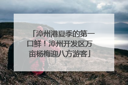 漳州港夏季的第一口鲜！漳州开发区万亩杨梅迎八方游客