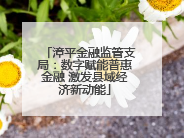 漳平金融监管支局：数字赋能普惠金融 激发县域经济新动能