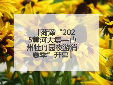 菏泽“2025黄河大集—曹州牡丹园夜游消夏季”开幕