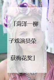 菏泽一柳子戏演员荣获梅花奖