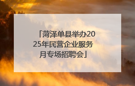 菏泽单县举办2025年民营企业服务月专场招聘会