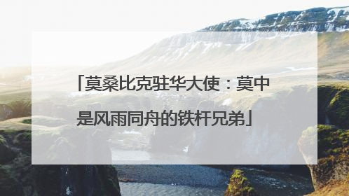 莫桑比克驻华大使：莫中是风雨同舟的铁杆兄弟