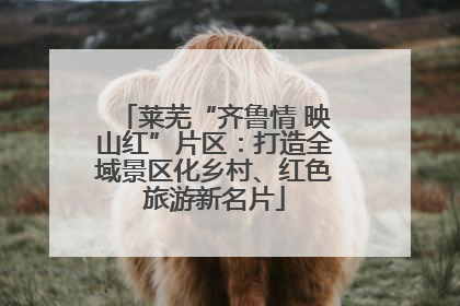 莱芜“齐鲁情 映山红”片区：打造全域景区化乡村、红色旅游新名片