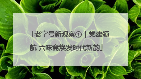老字号新观察①｜党建领航 六味斋焕发时代新韵