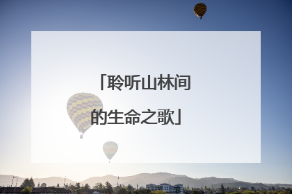 聆听山林间的生命之歌