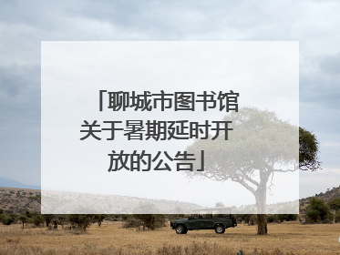 聊城市图书馆关于暑期延时开放的公告