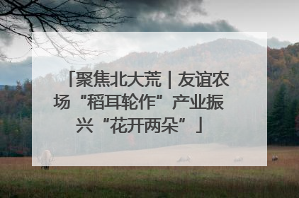 聚焦北大荒｜友谊农场“稻耳轮作”产业振兴“花开两朵”