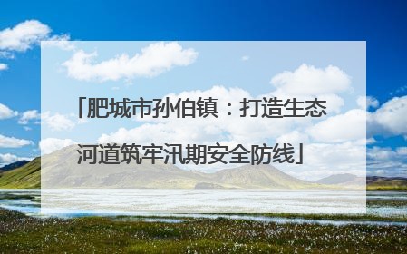 肥城市孙伯镇：打造生态河道筑牢汛期安全防线