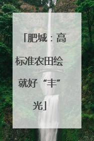 肥城：高标准农田绘就好“丰”光