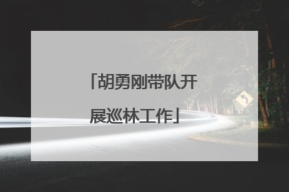 胡勇刚带队开展巡林工作