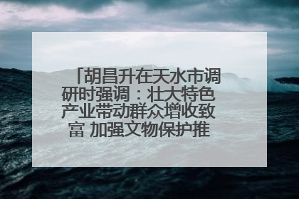 胡昌升在天水市调研时强调：壮大特色产业带动群众增收致富 加强文物保护推动文化创新发展