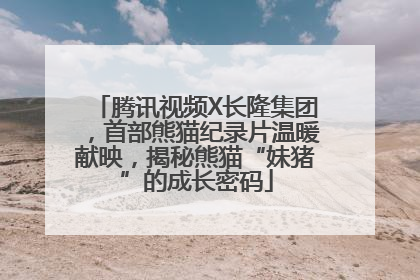 腾讯视频X长隆集团，首部熊猫纪录片温暖献映，揭秘熊猫“妹猪”的成长密码