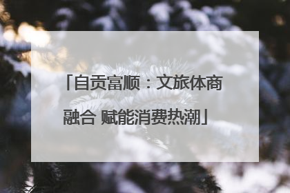 自贡富顺：文旅体商融合 赋能消费热潮
