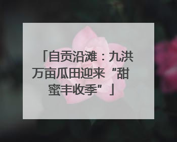 自贡沿滩：九洪万亩瓜田迎来“甜蜜丰收季”