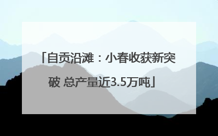 自贡沿滩：小春收获新突破 总产量近3.5万吨