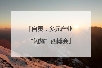 自贡：多元产业“闪耀”西博会