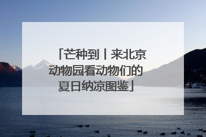 芒种到丨来北京动物园看动物们的夏日纳凉图鉴