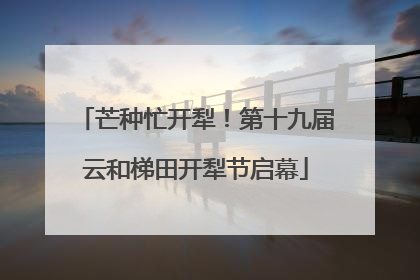 芒种忙开犁！第十九届云和梯田开犁节启幕