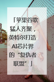 苹果谷歌猛人齐聚，英特尔打造AI芯片界的“复仇者联盟”
