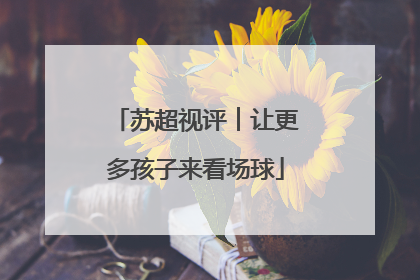 苏超视评︱让更多孩子来看场球