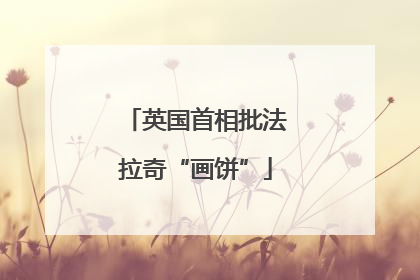 英国首相批法拉奇“画饼”