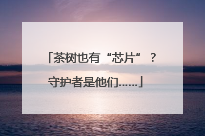 茶树也有“芯片”？守护者是他们……