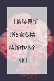 茶陵县新增5家专精特新中小企业