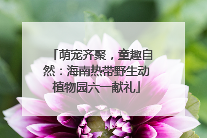 萌宠齐聚，童趣自然：海南热带野生动植物园六一献礼