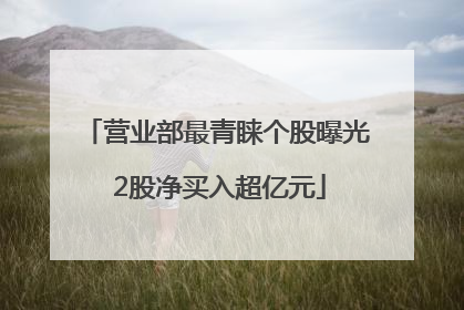 营业部最青睐个股曝光 2股净买入超亿元