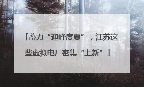 蓄力“迎峰度夏”，江苏这些虚拟电厂密集“上新”